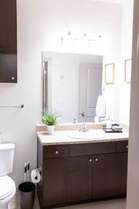 Amplify Spaces 1 And 2 Bedroom Apartments, Downtown Birmingham, Uab Esterno foto